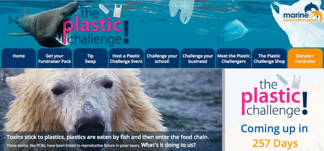 Marine Conservation Society Online Marketing and Web Design